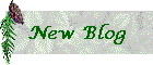 New Blog