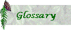 Glossary