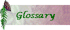 Glossary