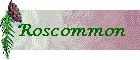 Roscommon