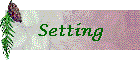 Setting