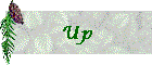 Up